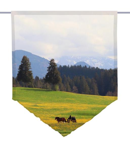 Auf dem Weg, Scheibenhänger spitz